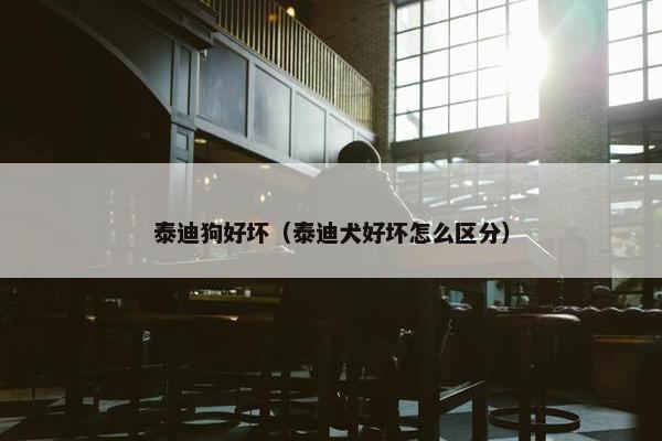 泰迪狗好坏（泰迪犬好坏怎么区分）
