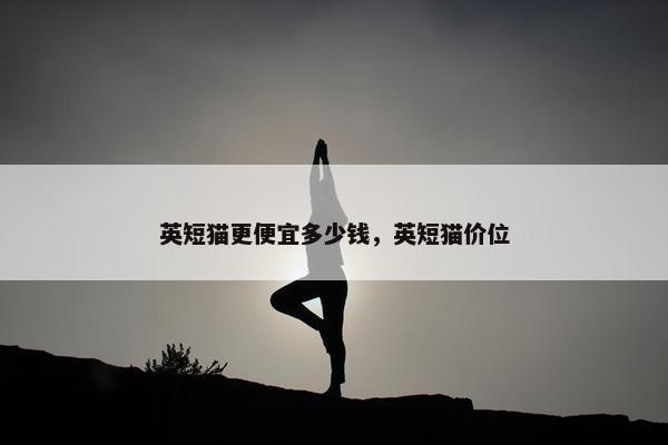 英短猫更便宜多少钱，英短猫价位