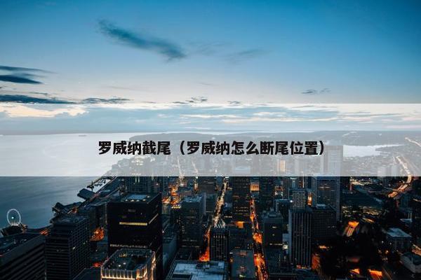 罗威纳截尾（罗威纳怎么断尾位置）