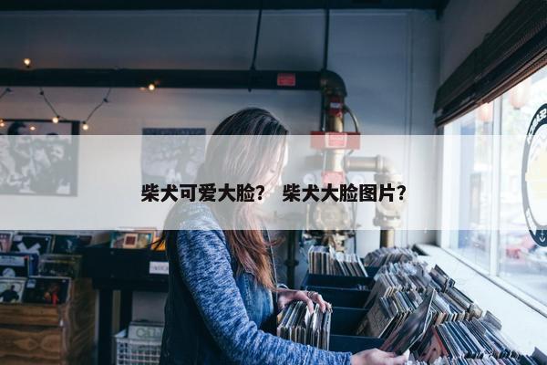 柴犬可爱大脸？ 柴犬大脸图片？