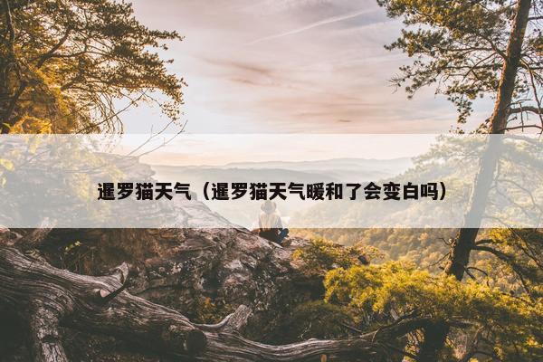 暹罗猫天气（暹罗猫天气暖和了会变白吗）