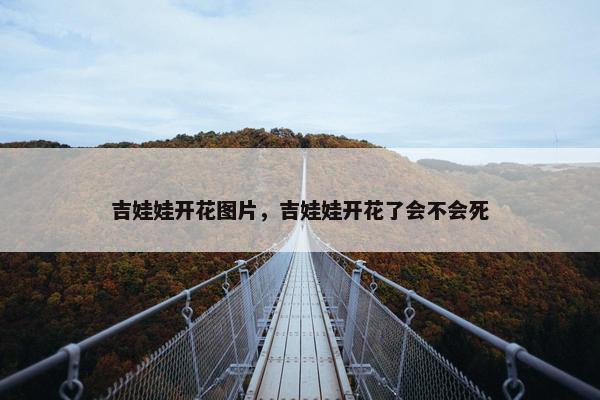 吉娃娃开花图片，吉娃娃开花了会不会死