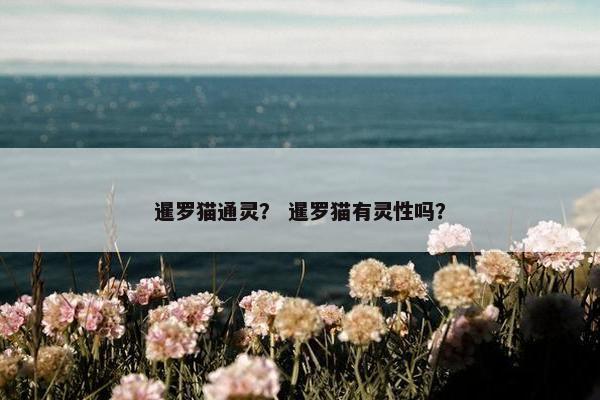 暹罗猫通灵？ 暹罗猫有灵性吗？