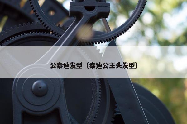 公泰迪发型（泰迪公主头发型）