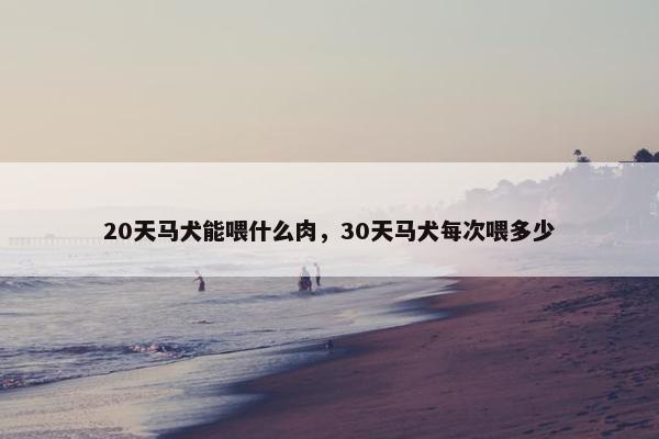 20天马犬能喂什么肉，30天马犬每次喂多少