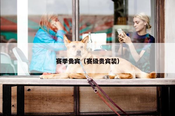 赛季贵宾（赛级贵宾装）