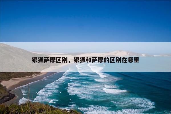 银狐萨摩区别，银狐和萨摩的区别在哪里