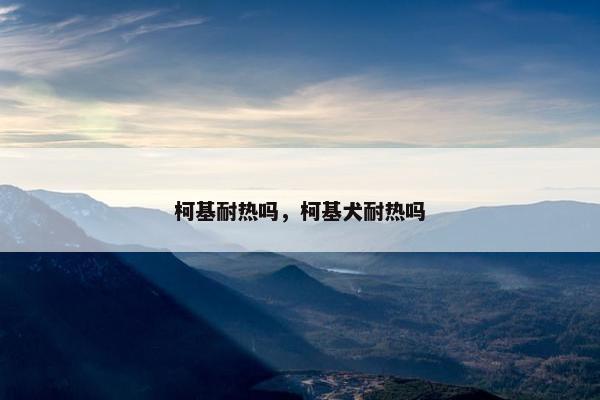 柯基耐热吗，柯基犬耐热吗