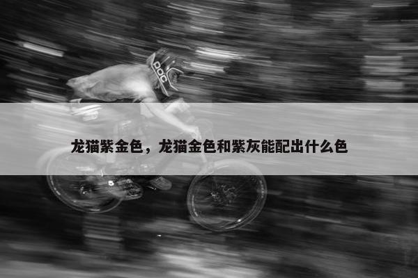 龙猫紫金色，龙猫金色和紫灰能配出什么色