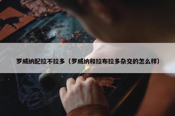罗威纳配拉不拉多（罗威纳和拉布拉多杂交的怎么样）