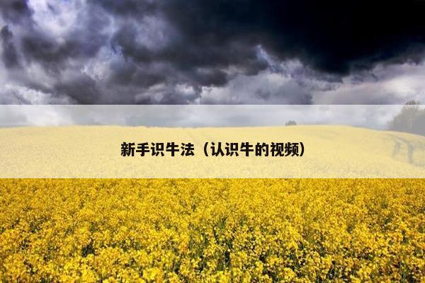 新手识牛法（认识牛的视频）