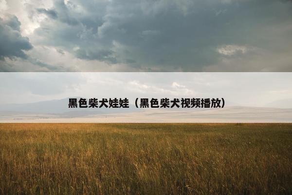 黑色柴犬娃娃（黑色柴犬视频播放）
