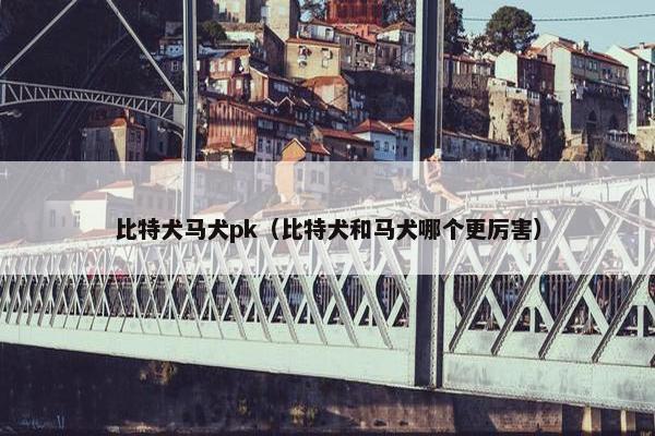 比特犬马犬pk（比特犬和马犬哪个更厉害）