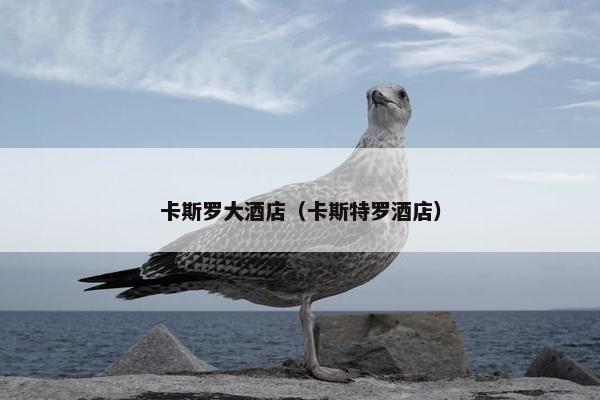 卡斯罗大酒店（卡斯特罗酒店）