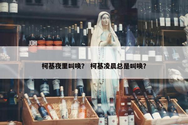 柯基夜里叫唤？ 柯基凌晨总是叫唤？