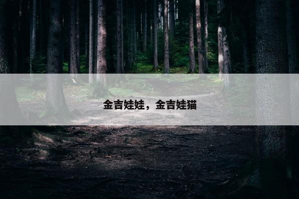 金吉娃娃，金吉娃猫