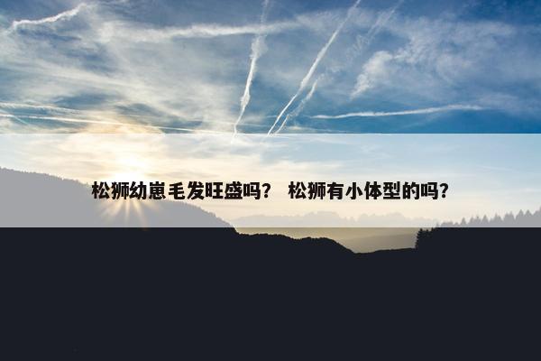 松狮幼崽毛发旺盛吗？ 松狮有小体型的吗？