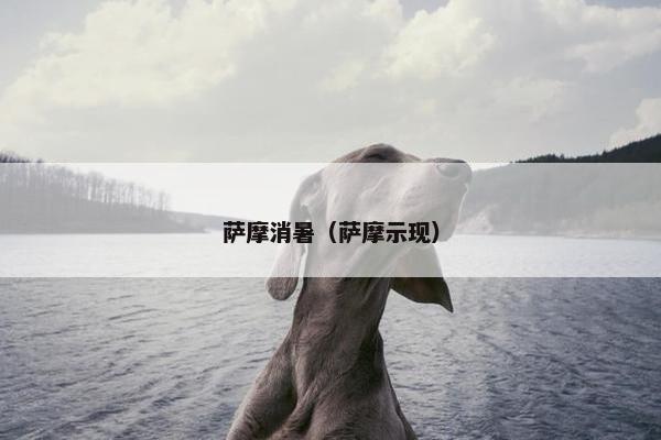 萨摩消暑（萨摩示现）