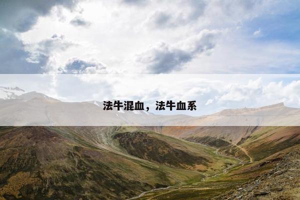法牛混血，法牛血系