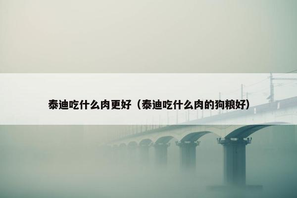 泰迪吃什么肉更好（泰迪吃什么肉的狗粮好）