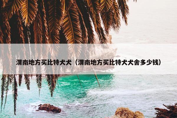 渭南地方买比特犬犬（渭南地方买比特犬犬舍多少钱）