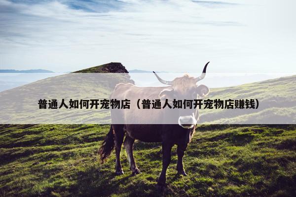 普通人如何开宠物店（普通人如何开宠物店赚钱）