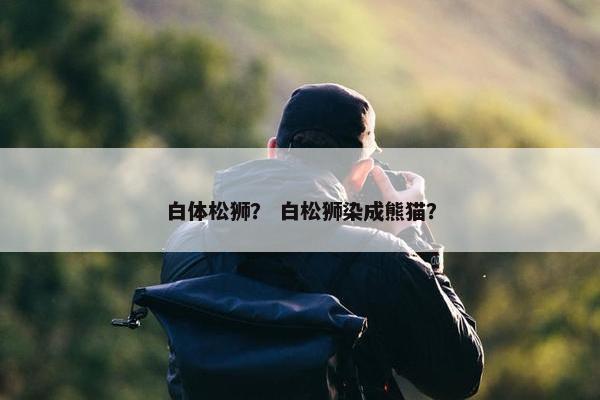 白体松狮？ 白松狮染成熊猫？