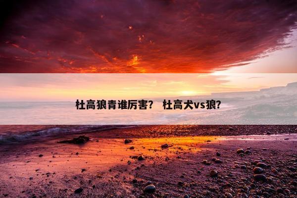 杜高狼青谁厉害？ 杜高犬vs狼？