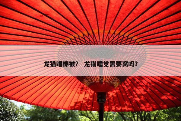 龙猫睡棉被？ 龙猫睡觉需要窝吗？