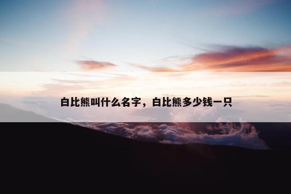 白比熊叫什么名字，白比熊多少钱一只
