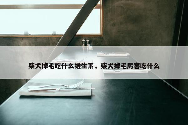 柴犬掉毛吃什么维生素，柴犬掉毛厉害吃什么