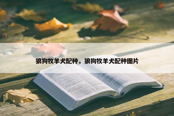 狼狗牧羊犬配种，狼狗牧羊犬配种图片