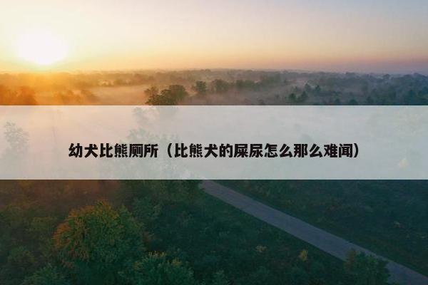 幼犬比熊厕所（比熊犬的屎尿怎么那么难闻）