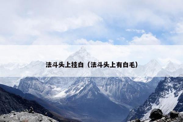 法斗头上挂白（法斗头上有白毛）