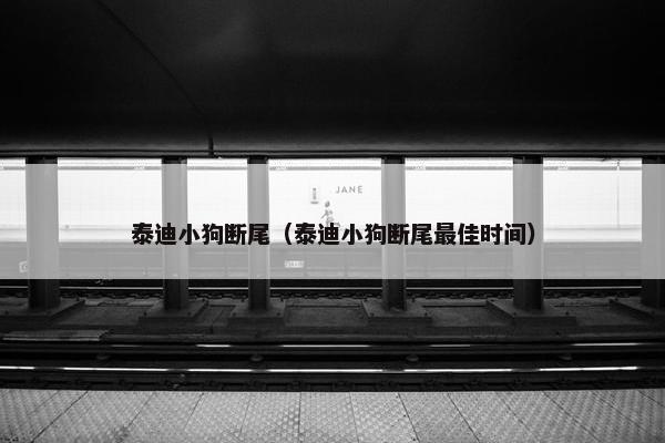 泰迪小狗断尾（泰迪小狗断尾最佳时间）