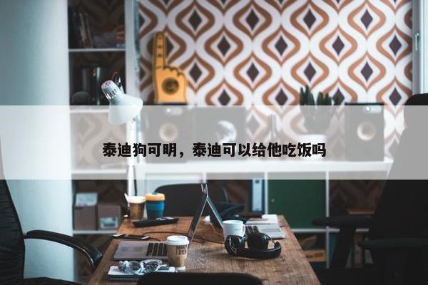 泰迪狗可明，泰迪可以给他吃饭吗