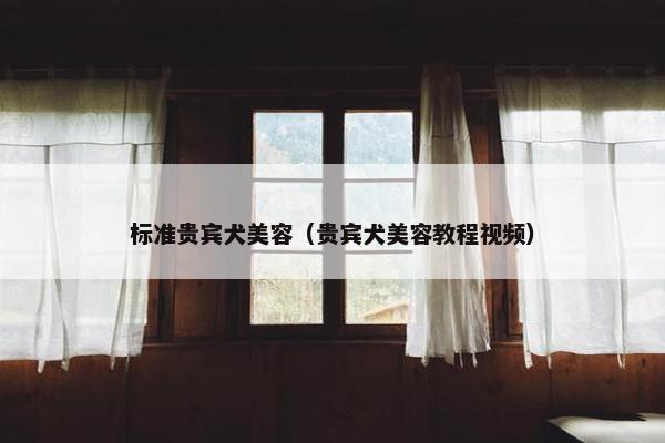 标准贵宾犬美容（贵宾犬美容教程视频）