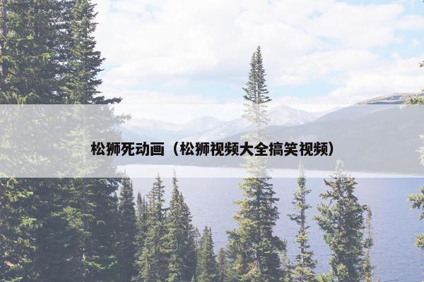 松狮死动画（松狮视频大全搞笑视频）