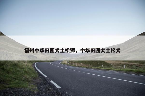 福州中华田园犬土松狮，中华田园犬土松犬