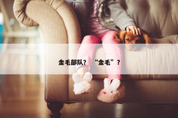 金毛部队？ “金毛”？