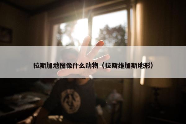 拉斯加地图像什么动物（拉斯维加斯地形）