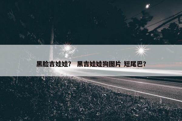 黑脸吉娃娃？ 黑吉娃娃狗图片 短尾巴？