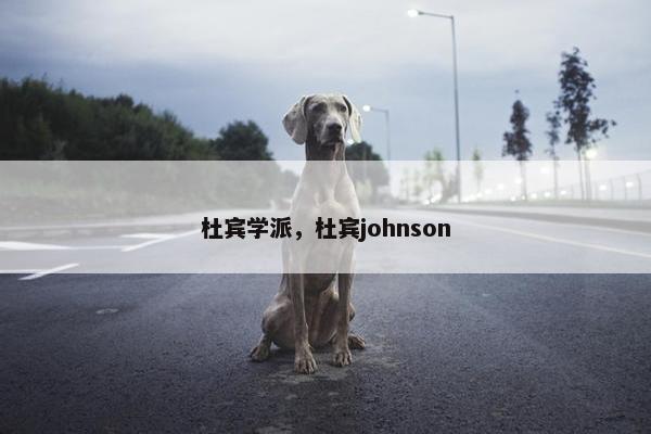 杜宾学派，杜宾johnson