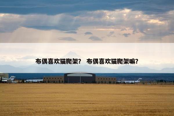 布偶喜欢猫爬架？ 布偶喜欢猫爬架嘛？
