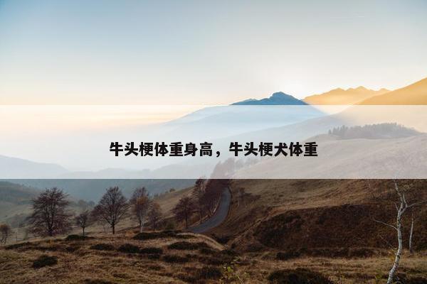 牛头梗体重身高，牛头梗犬体重