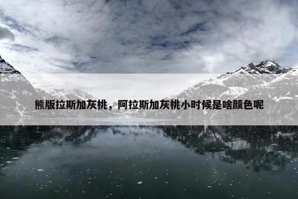 熊版拉斯加灰桃，阿拉斯加灰桃小时候是啥颜色呢