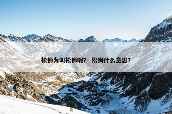 松狮为叫松狮呢？ 松狮什么意思？