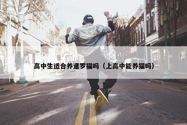 高中生适合养暹罗猫吗（上高中能养猫吗）