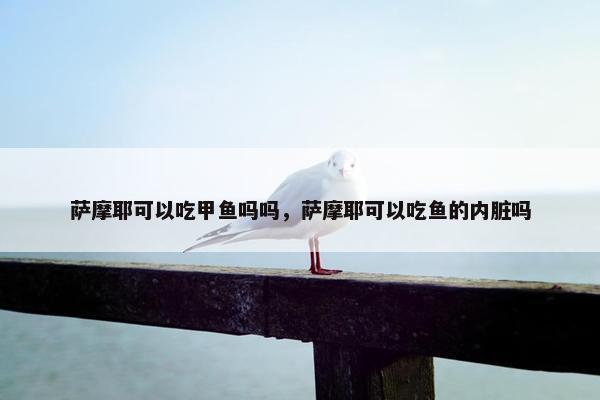 萨摩耶可以吃甲鱼吗吗，萨摩耶可以吃鱼的内脏吗