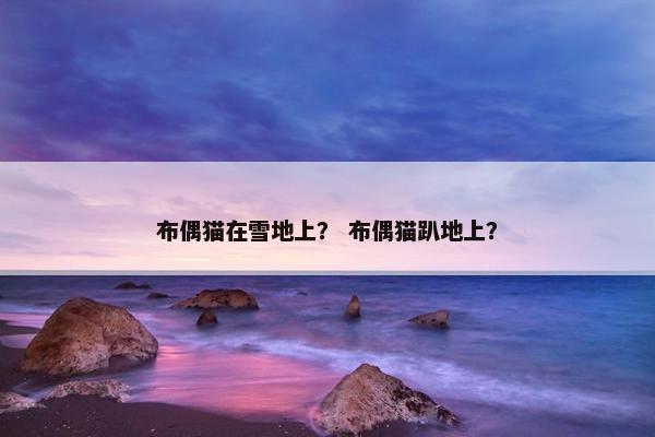 布偶猫在雪地上？ 布偶猫趴地上？